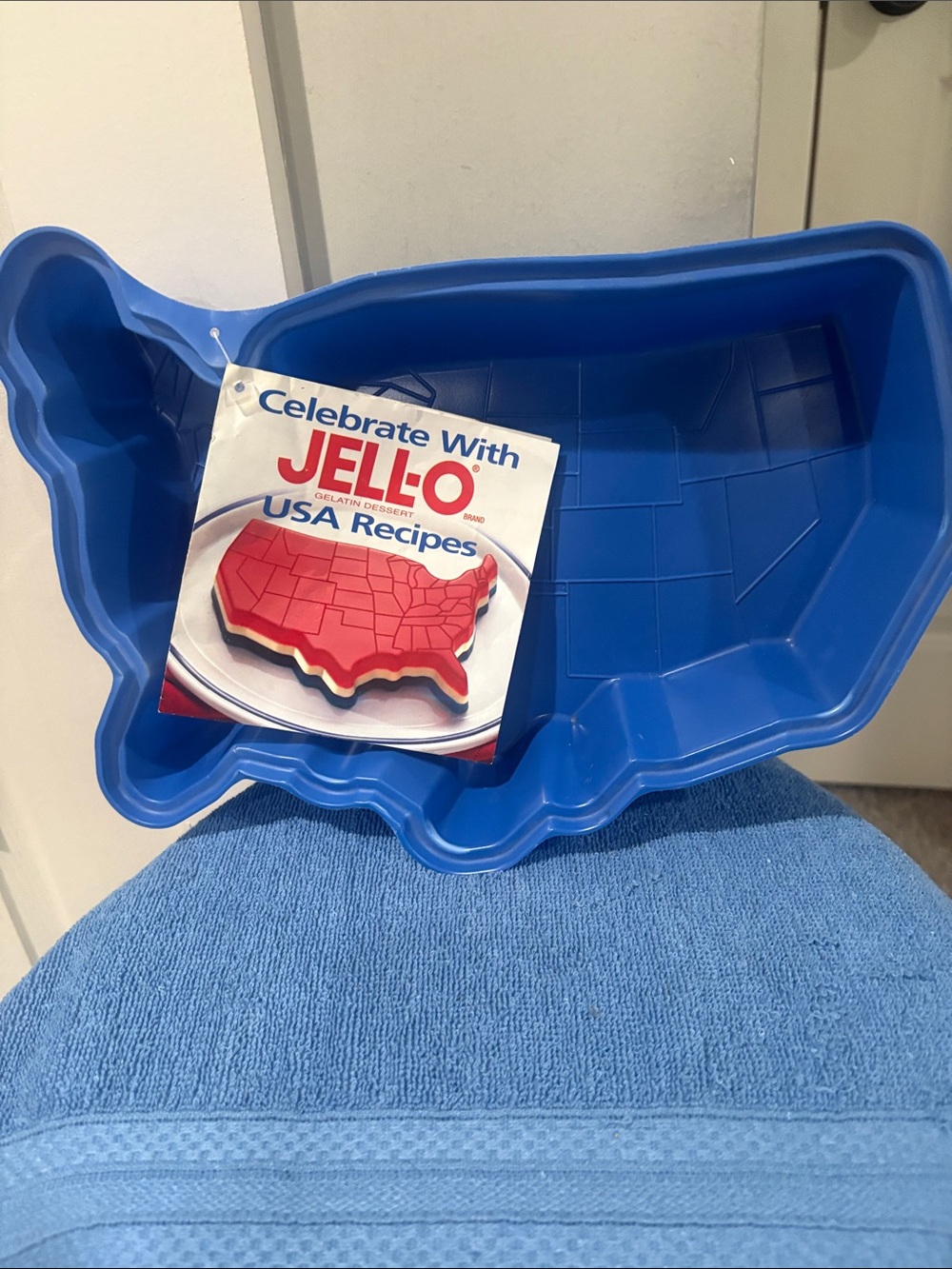 Blue USA Map Mold - Patriotic Serveware